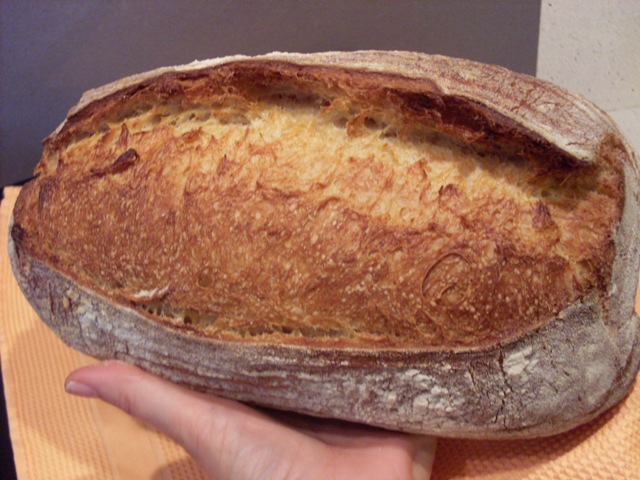 043 - Batard  nº 2,  amb MM.JPG