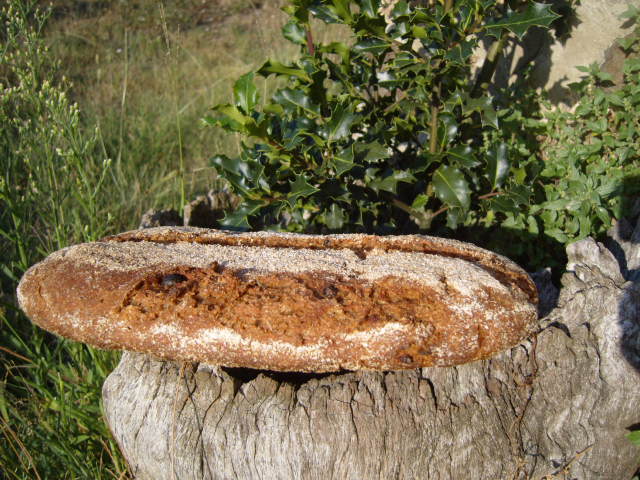 280 sègol amb muesli.JPG