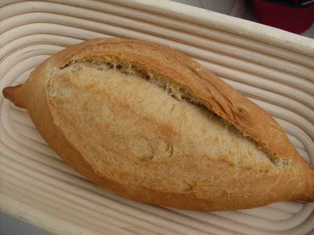 053 - petit molleter.JPG