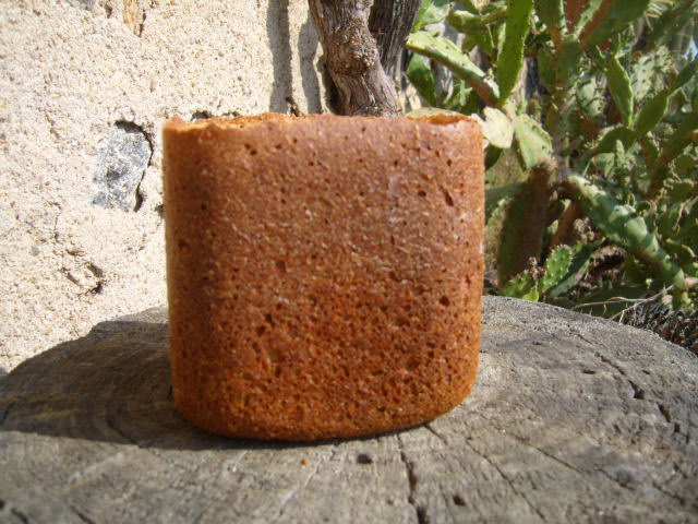 283 Pan de harina de chufas