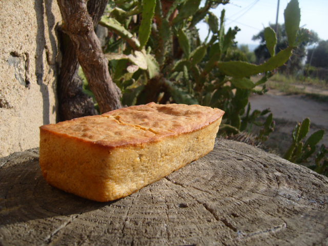 284 sg con harina de chufa y castaña