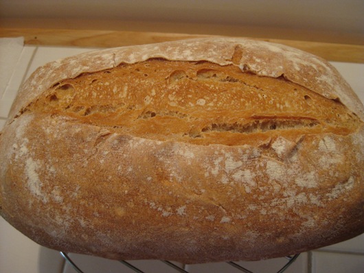 Pan con lev seca harina recia y fuerza ecol y 60 de agua.JPG
