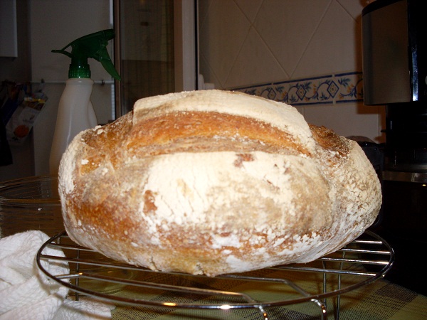SDC11479.JPG