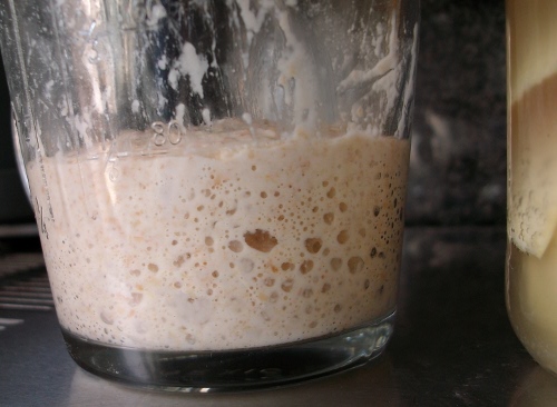 fruitwateryeast3.JPG