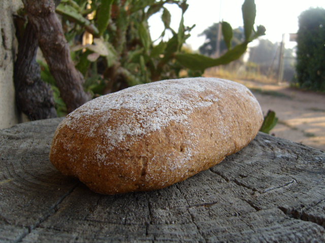 298        Sour Rye 1939.JPG