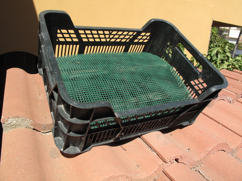 Las pongo a secar al sol, pero no directo.