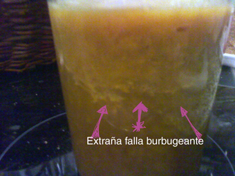 marmelada pocha2 20111010_211607.jpg