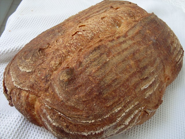 011 - MM sobre fermentat.JPG