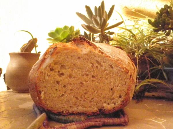 MIGA DE PAN DE PATATA.jpg