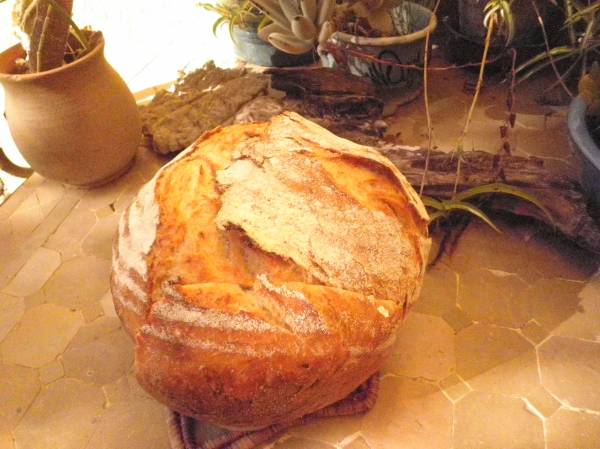 PAN DE PATATA.jpg