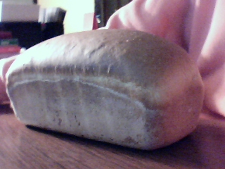 Pain de Mie 57