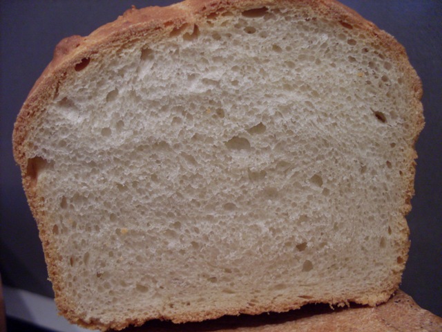 029 - motlle xerigot, mantega i mel, MTM.JPG