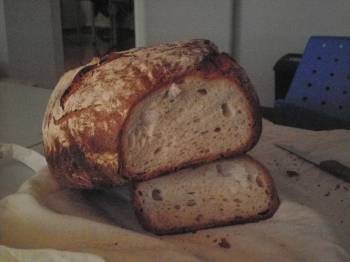 MIGA PAN LECHE FERMENTADA CON CUSCUS.jpg