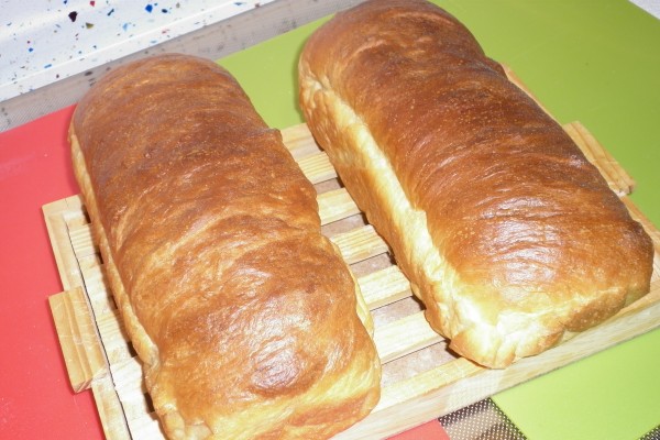 11-11-03 pan de molde receta circe.jpg