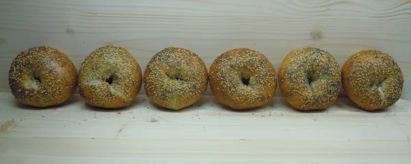 mis 6 bagels 71111.jpg