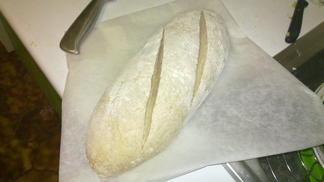 20111111_001.jpg