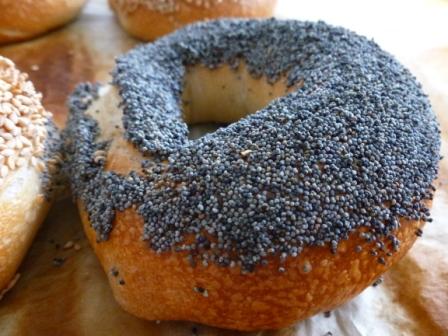 Bagel amapola.JPG