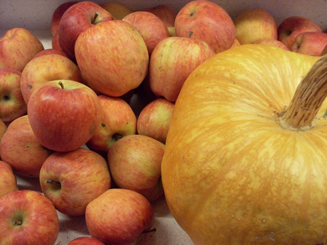 012 - fruits ceretans.JPG