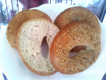 Bagels 1.jpg