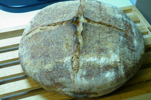 11-11-24 pan de MM trigo RdS 750 01.jpg