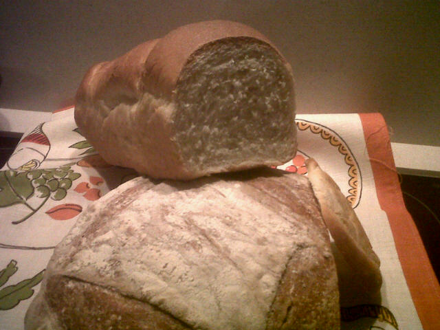 IMG00101-20111127-2026.jpg