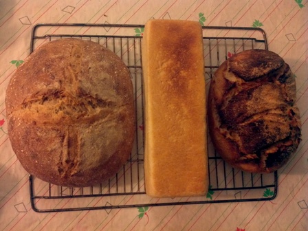 lo mismo con un pan de molde con 150 gr de harina de maiz (buenísimo)