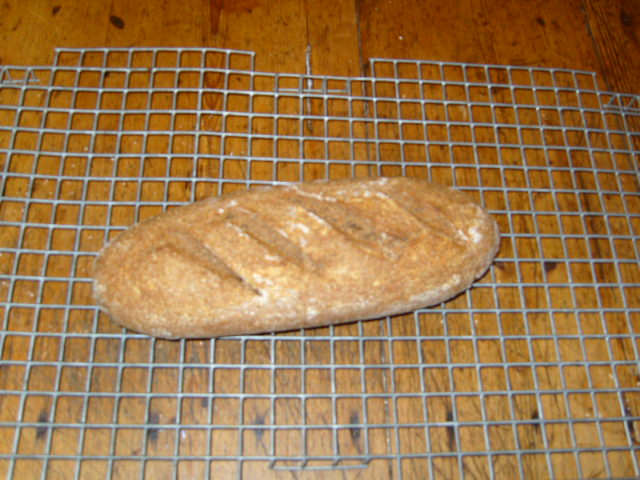 Pan amargo de centeno  65.JPG