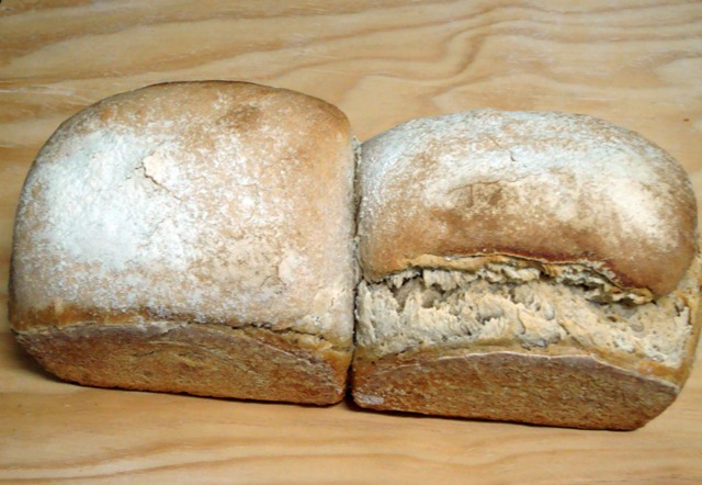 Espelta Blanca.jpg