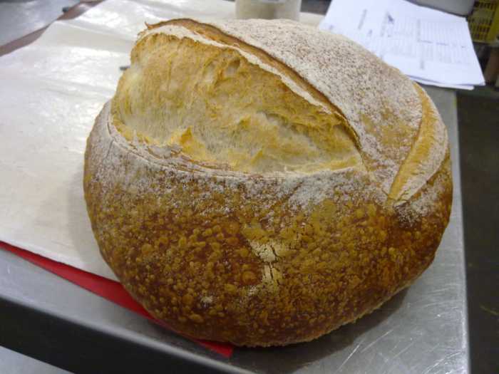 Pan con fermentación retardada.jpg