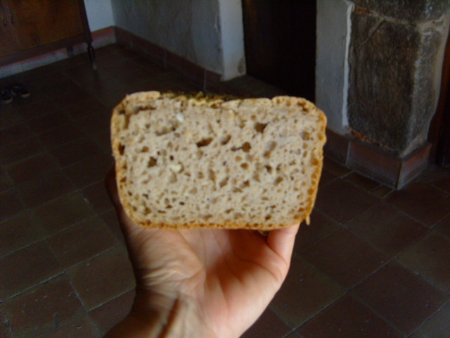 miga pan 68