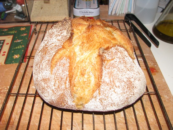 Pain semola 1.jpg