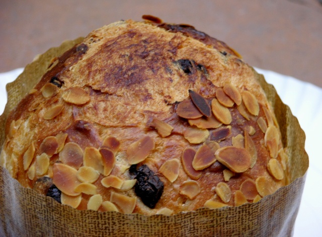 PANETTONCHO3PEQ.JPG