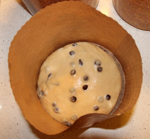 Panettchoco1.JPG