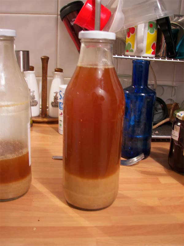 kvass3.jpg