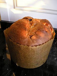 Panettone.JPG