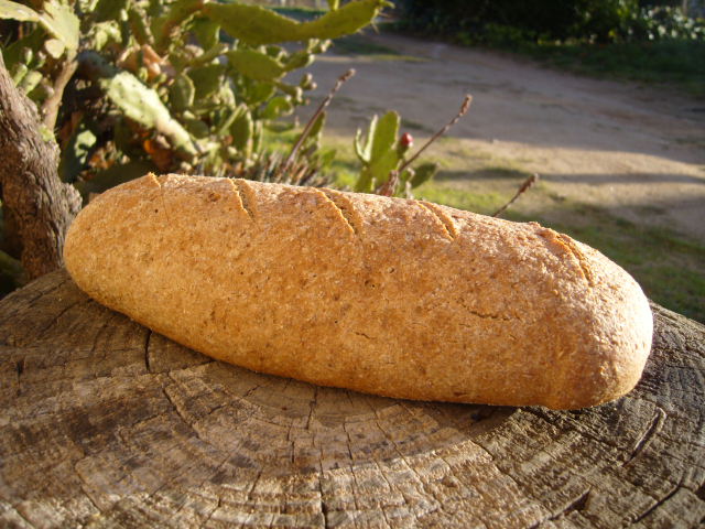 355 Sourdough 100% centeno P.Reinhart.JPG