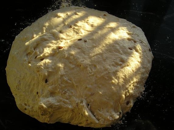Masa blanca con semillas.JPG