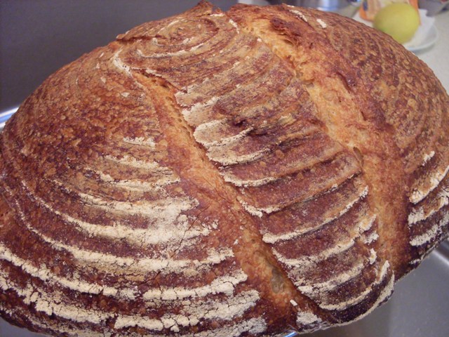 025 - blat  MM.JPG