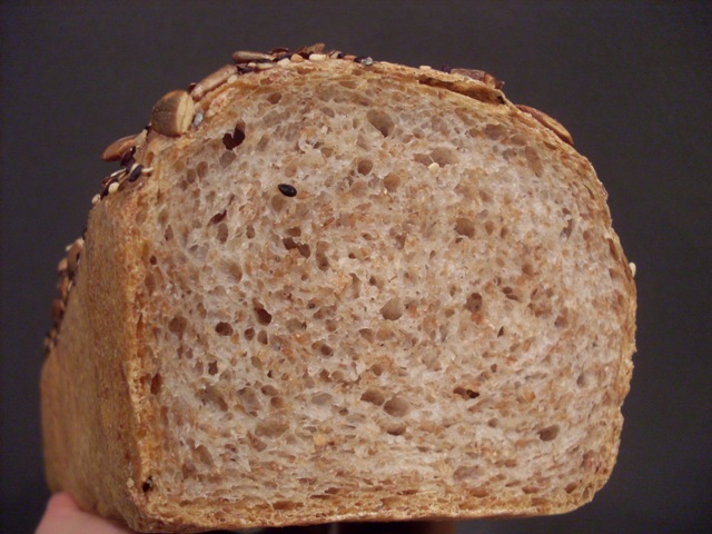 031 - molla.JPG
