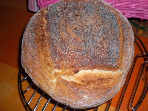 Pan con masa fermentada.jpg