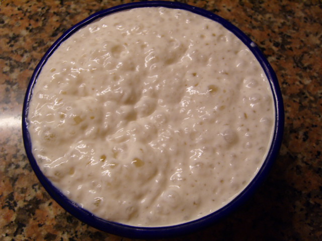 yogur de soja fermentado.JPG