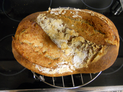 50-50 sègol-blat MaMa.jpg