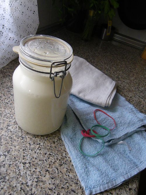yogur2.jpg