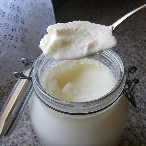 yogur3.jpg