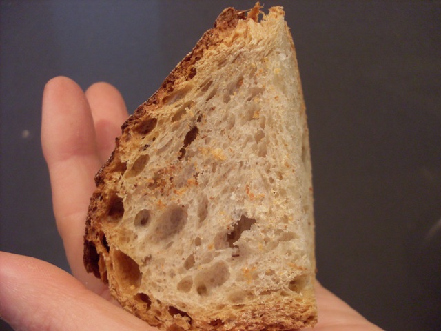 011 - molla.JPG