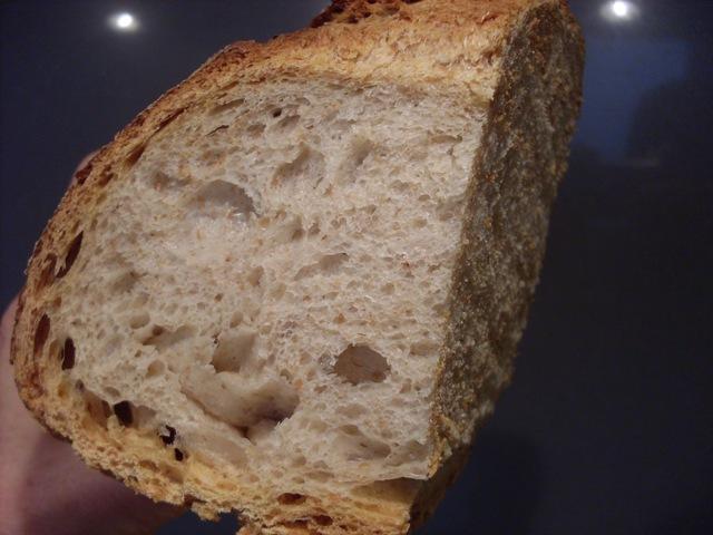 009 - molla.JPG